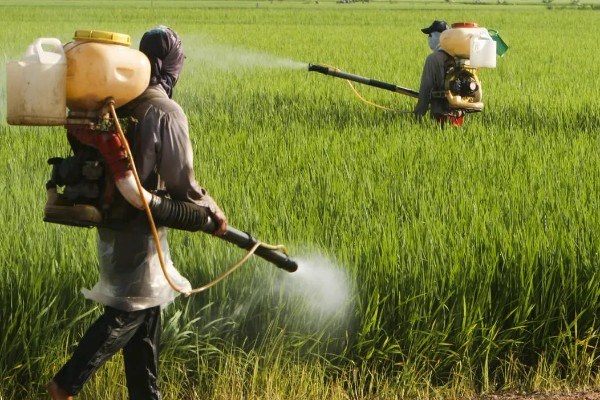 使用嘧螨酯要注意什么，要避免污染水源和池塘