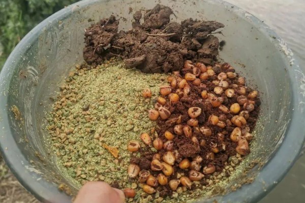 水库钓鱼选择哪种竿，海竿和手竿均可使用