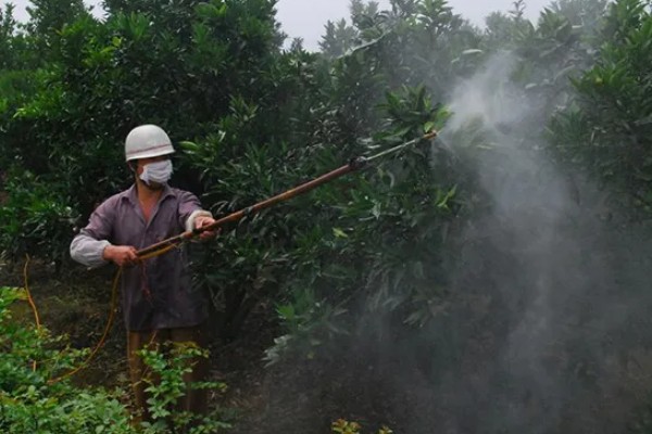 使用嘧螨酯要注意什么，要避免污染水源和池塘