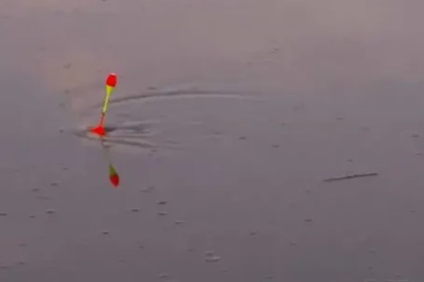 水库钓鱼选择哪种竿，海竿和手竿均可使用