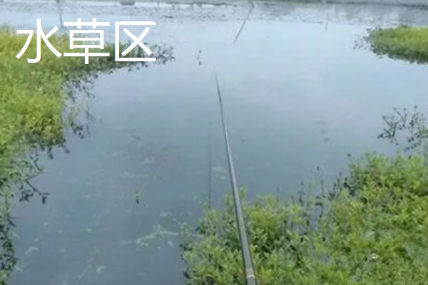 水库钓鱼选择哪种竿，海竿和手竿均可使用