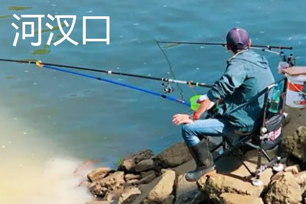 水库钓鱼选择哪种竿，海竿和手竿均可使用