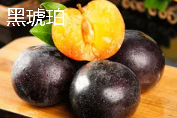 哪些李子的含糖量比较高，冰糖李、蜂蜜李等品种的味道较甜