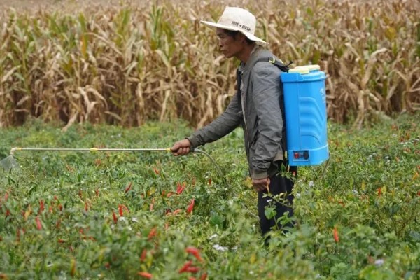 精异丙甲草胺的适用范围，可对玉米、大豆、花生等作物使用