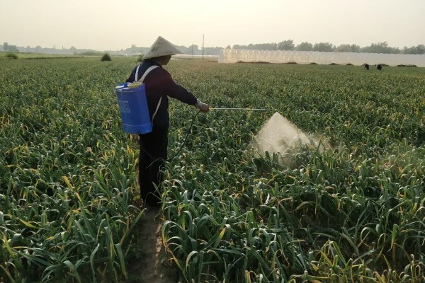 精异丙甲草胺的适用范围，可对玉米、大豆、花生等作物使用