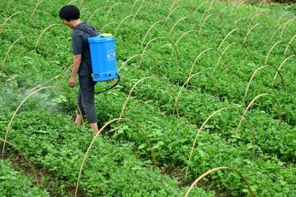 精异丙甲草胺的适用范围，可对玉米、大豆、花生等作物使用
