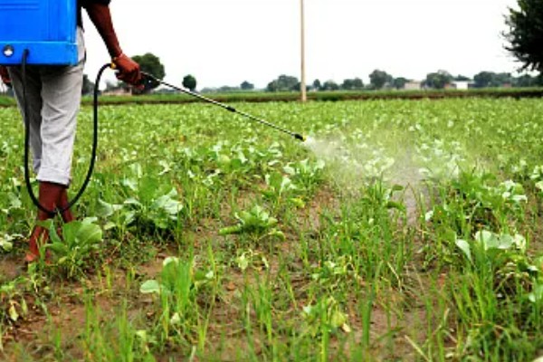 精异丙甲草胺的适用范围，可对玉米、大豆、花生等作物使用