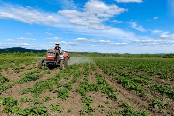 精异丙甲草胺的适用范围，可对玉米、大豆、花生等作物使用