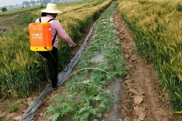 精异丙甲草胺的适用范围，可对玉米、大豆、花生等作物使用