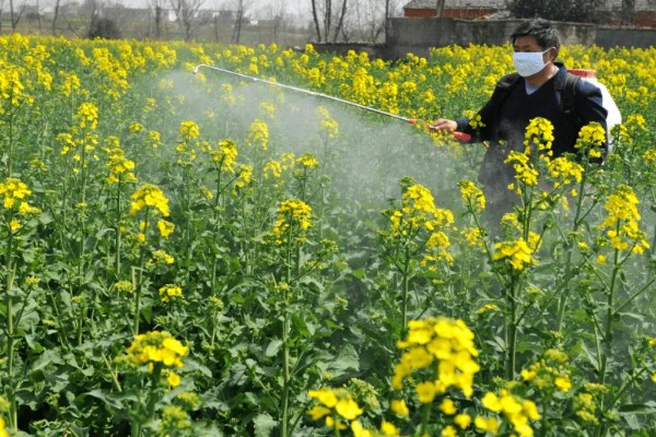 精异丙甲草胺的适用范围，可对玉米、大豆、花生等作物使用