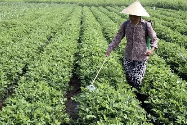 精异丙甲草胺的适用范围，可对玉米、大豆、花生等作物使用