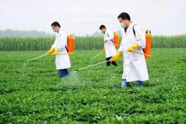 精异丙甲草胺的适用范围，可对玉米、大豆、花生等作物使用