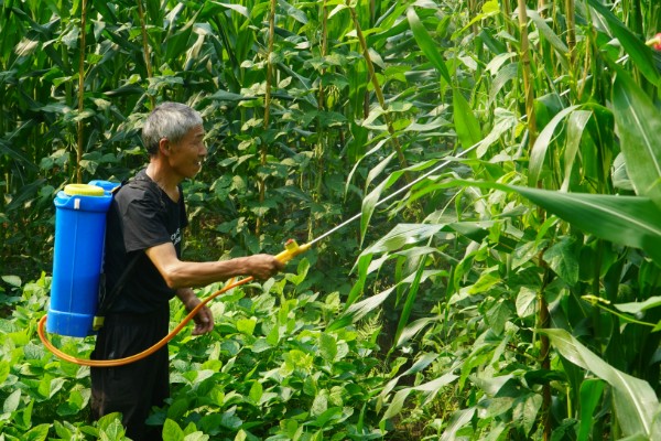 精异丙甲草胺的适用范围，可对玉米、大豆、花生等作物使用