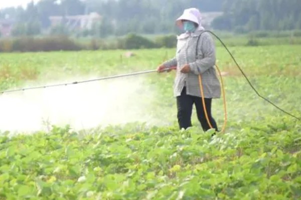 精异丙甲草胺的适用范围，可对玉米、大豆、花生等作物使用