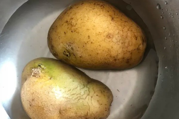 马铃薯青枯病怎么防治，发病初期可喷施农用链霉素