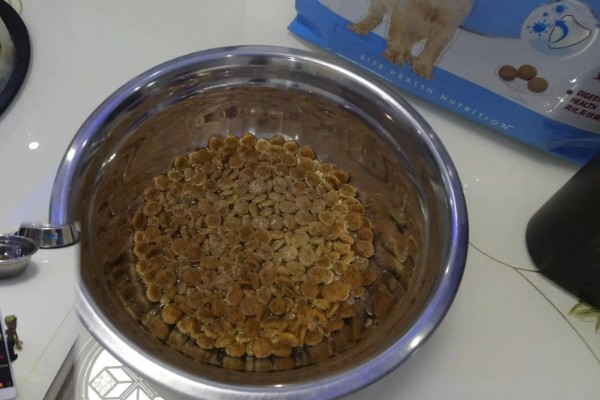 狗粮怎么泡,用40-70度的温水泡