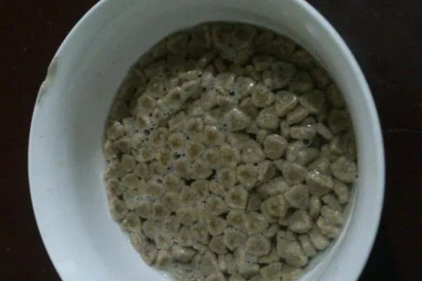 狗粮怎么泡,用40-70度的温水泡