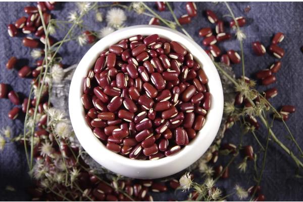 赤小豆如何种植，一般都采用条播或穴播