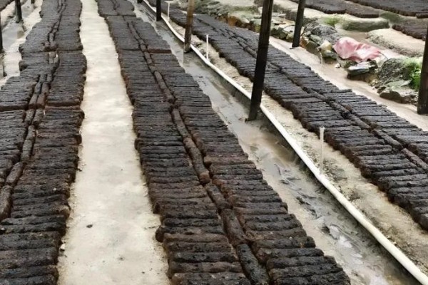 香菇出菇后的管理方法，温度高于22℃时每天至少通风3次