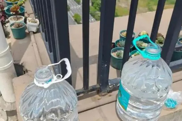 养鲫鱼喂食间隔，每天上午和下午都要喂一次