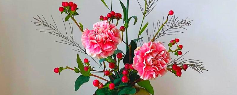 19朵康乃馨代表什么，具有爱到永久、一生守护的含义