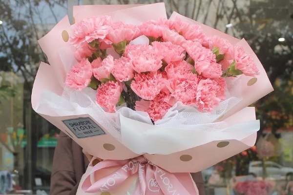 19朵康乃馨代表什么，具有爱到永久、一生守护的含义