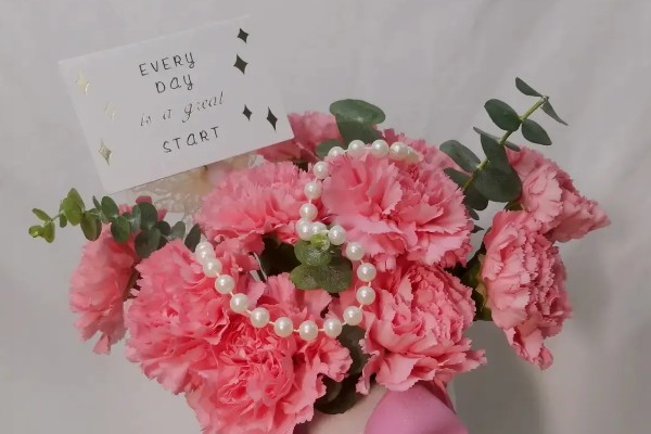 19朵康乃馨代表什么，具有爱到永久、一生守护的含义