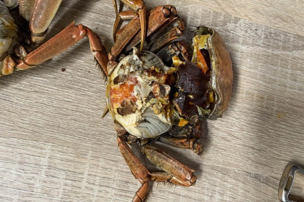 仙桃大闸蟹多少钱一斤,约为18-50元/斤