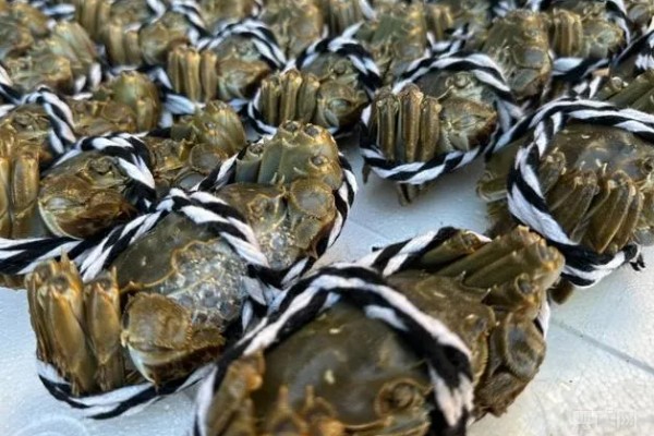 仙桃大闸蟹多少钱一斤,约为18-50元/斤