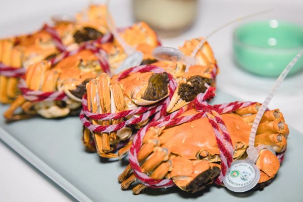 仙桃大闸蟹多少钱一斤,约为18-50元/斤