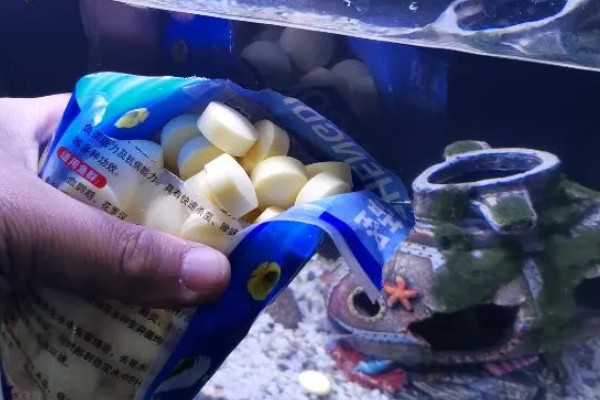 养罗汉鱼要不要放盐，换水、罗汉鱼生病时可以添加