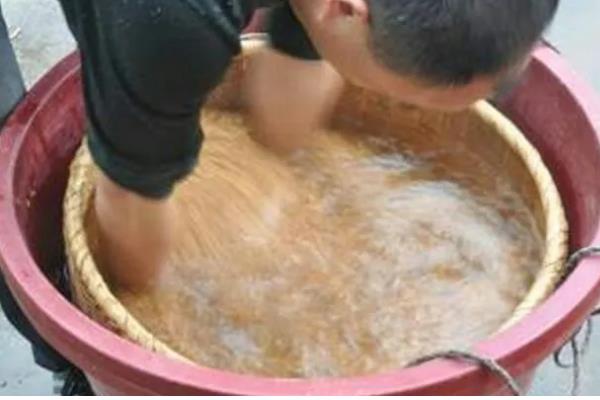 水稻的催芽技术，催芽的第一步就是晒种