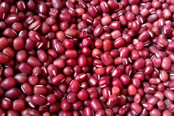 山西省翼城县的特产，隆化小米曾是皇室贡品