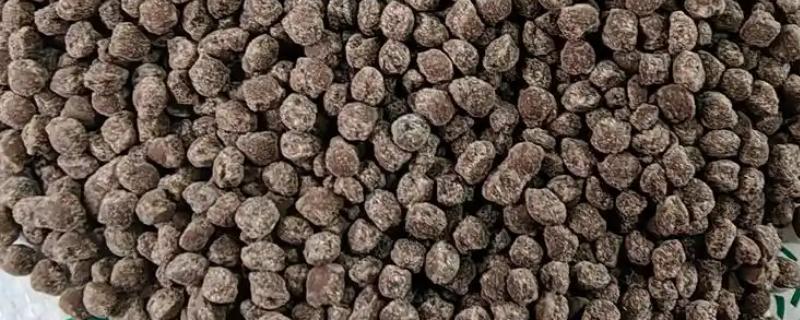 可以促进根系生长的肥料是什么，含有氮、磷的肥料都能促进根系发育