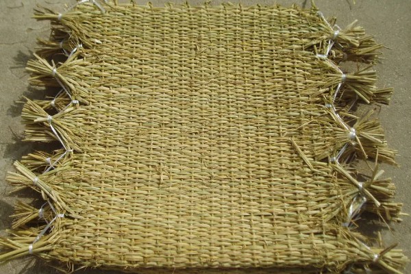 稻草的常见用途，可腐熟还田