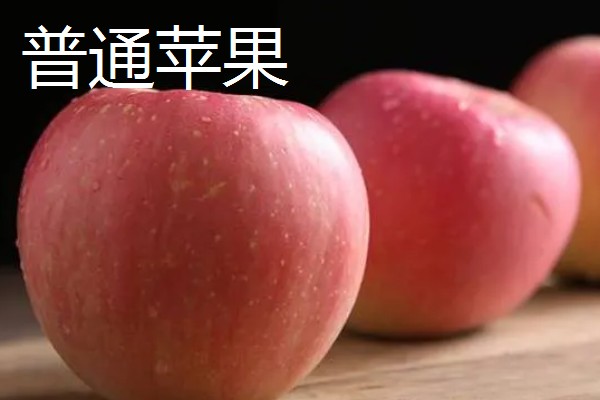 糖心苹果和普通苹果的区别，糖心苹果的果核呈透明状