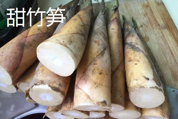 竹笋有什么好品种，尖头青笋、毛竹笋、早竹笋都是优良品种