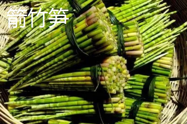 竹笋有什么好品种，尖头青笋、毛竹笋、早竹笋都是优良品种