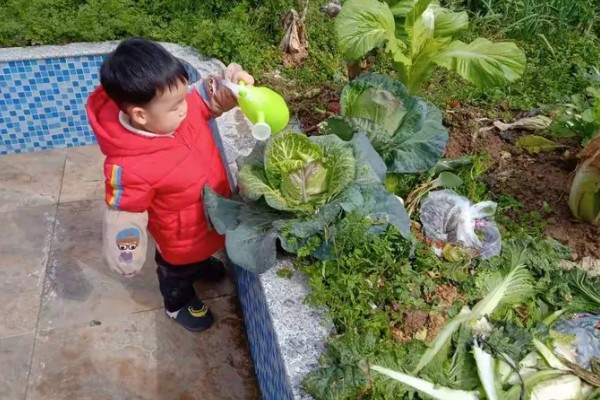 4月份适合种什么青菜，适合种植韭菜、西红柿等