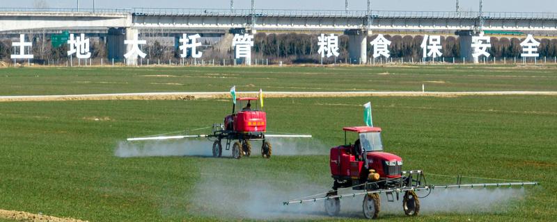 农村合作社是什么，是按劳分配的农业社会主义经济组织