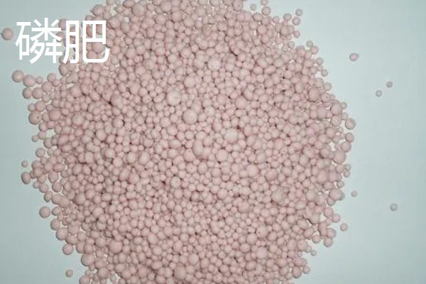 可以促进根系生长的肥料是什么，含有氮、磷的肥料都能促进根系发育