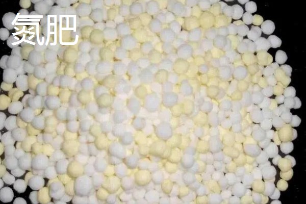 可以促进根系生长的肥料是什么，含有氮、磷的肥料都能促进根系发育