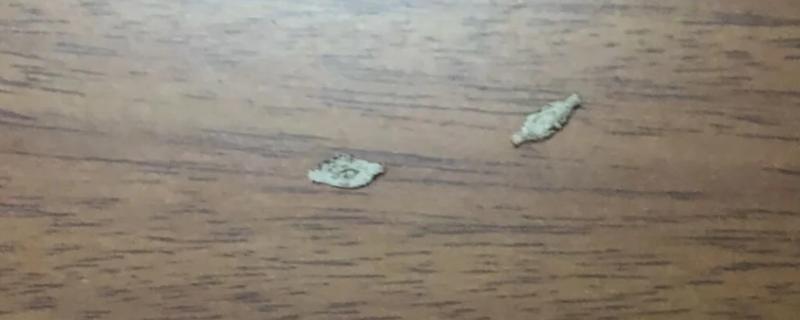 如何将衣蛾虫一网杀尽，可使用喷虫剂