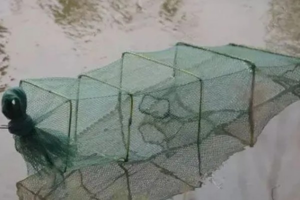 地笼捕河虾选择哪种诱饵，鸡骨头、羊骨头都是适宜选择