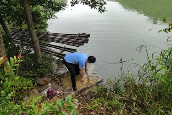 大闸蟹怎么养,将池水深度保持在70-80厘米