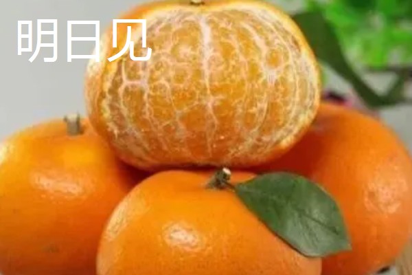 沃柑甜不甜,口感甜美滑嫩