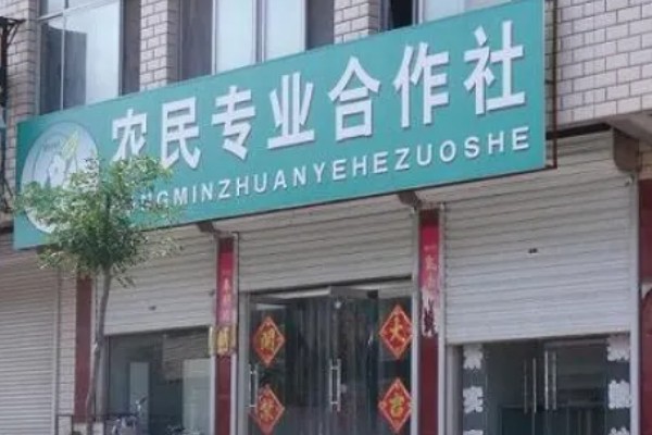 农村合作社是什么,是按劳分配的农业社会主义经济组织
