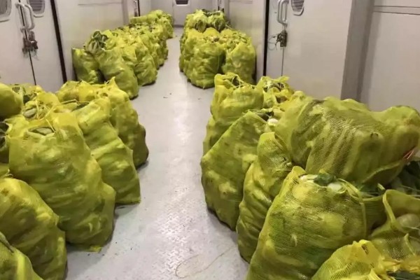 冬运大白菜的注意事项，中短途调运多以公路运输为主