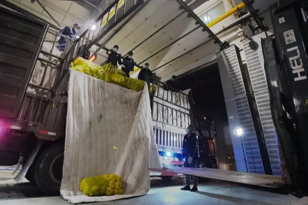 冬运大白菜的注意事项，中短途调运多以公路运输为主