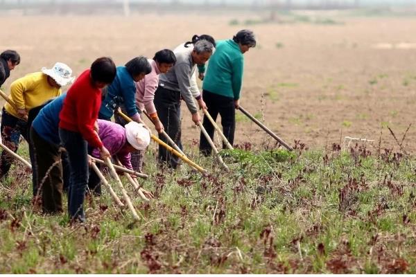 农业弱质性有什么表现，生产规模缺乏优势且收益低下